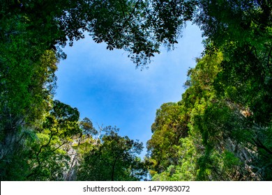 Hart Shaped Sky In Forest Of Island In Phuket