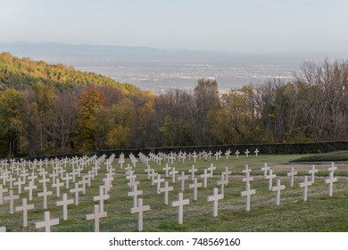 Hartmannswillerkopf