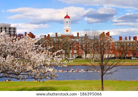 Harvard in the spring