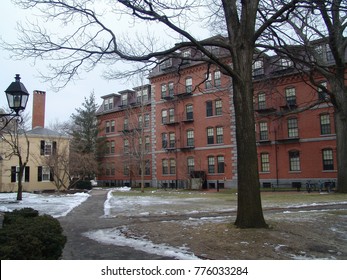 Harvard, USA - Feb 14, 2008 : Harvard University Campus In Winter Tim