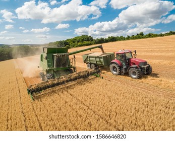 Harvest aerial of combine harvester cutting summer oats field crop with tractor trailer under blue sky on farm