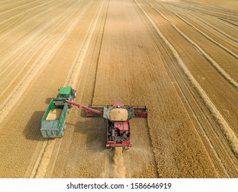 Harvest Aerial Overhead Of Combine Harvester Cutting Summer Barley Field Crop With Tractor Trailer On Farm