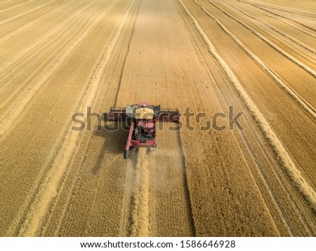 Similar – A combine harvester is harvesting grain crops on a cornfield in the evening sun seen from above