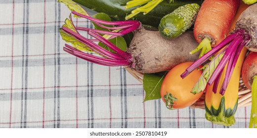 Harvest of autumn vegetables in a wicker basket. Urban farm produce, healthy ingredients for cooking food. Checkered tablecloth on the table, banner format - Powered by Shutterstock