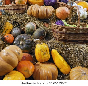 Harvest. Colorful pumkins, apples and hay.  Pumpkins of different varieties and sizes.  Thanksgiving day. Crop.                               