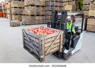 Harvest Control, Loading, Lifting And Delivery At Warehouse, Food Business. Cheerful Adult Bearded Man Worker In Helmet In Forklift In Storage Raises Apples, On A Lot Of Wooden Boxes Background