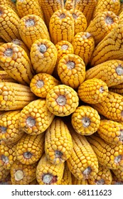 Frisia Heidelberg ceracron maíz amarillo platillo 14,5cm DM 5cm espejo