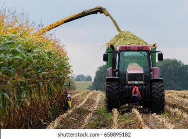 Harvest Corn Harvester And Tractor In Corn