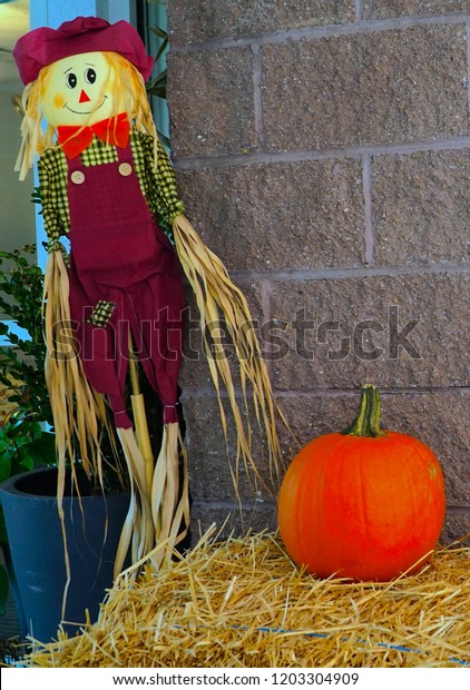 Harvest Display Scarecrow Hay Bales Thanksgiving Stock Photo Edit