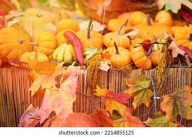 Harvest Festival With Autumn Pumpkins And Vegetables. Sale Of Agricultural Crops On The Outdoor Market After The Holiday