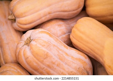 Harvest Festival With Autumn Pumpkins And Vegetables. Sale Of Agricultural Crops On The Outdoor Market After The Holiday, Background, Copy Space