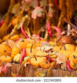 Harvest Festival With Autumn Pumpkins And Vegetables. Sale Of Agricultural Crops On The Outdoor Market After The Holiday