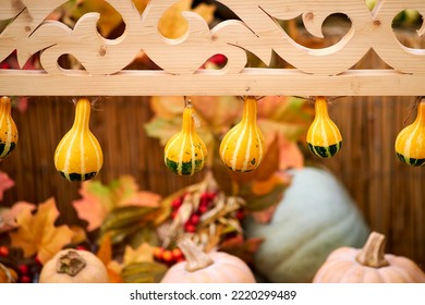 Harvest Festival With Autumn Pumpkins And Vegetables. Sale Of Agricultural Crops On The Outdoor Market After The Holiday