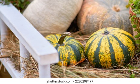 Harvest Festival With Autumn Pumpkins And Vegetables. Sale Of Agricultural Crops On The Outdoor Market After The Holiday