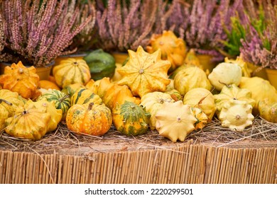 Harvest Festival With Autumn Pumpkins And Vegetables. Sale Of Agricultural Crops On The Outdoor Market After The Holiday