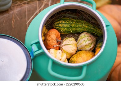 Harvest Festival With Autumn Pumpkins And Vegetables. Sale Of Agricultural Crops On The Outdoor Market After The Holiday