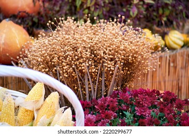 Harvest Festival With Autumn Pumpkins And Vegetables. Sale Of Agricultural Crops On The Outdoor Market After The Holiday