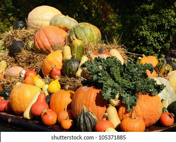 Harvest Festival, Thanksgiving Market