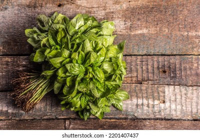 Harvest Fresh Green Organic Basil. Bunch Of Basil