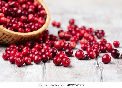 Harvest fresh red cranberries in wicker basket, selective focus. Autumn concept - Shutterstock ID 489262009