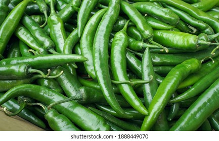  harvest of green chili peppers                               - Powered by Shutterstock