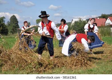 Harvest Home Celebration In Wallachia