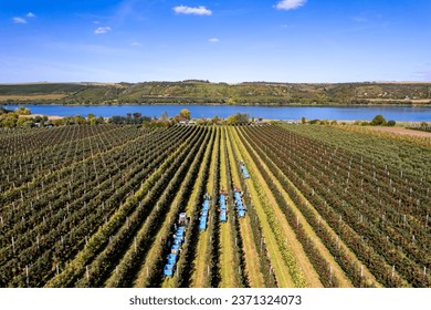 Harvest on orchard with view of sweet lake in rural region - Shutterstock ID 2371324073