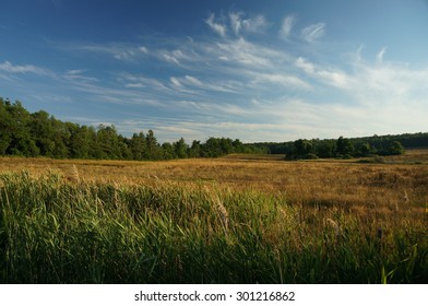 Harvest In Regina