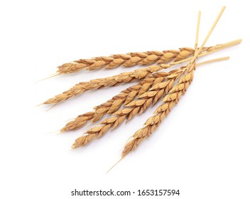 Harvest, Spelt Grain And Spelt Ears, Isolated