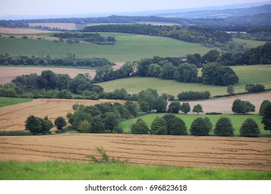 Harvest Time On The Berkshire Downs In England