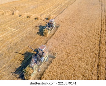 Harvest Wheat Grain And Crop Aerial View.Harvesting Wheat,oats, Barley In Fields,ranches And Farmlands.Combines Mow In The Field.Agro-industry.Combine Harvester Cutting On Wheat Filed.Machine Harvest