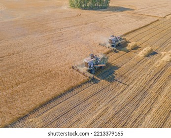 Harvest Wheat Grain And Crop Aerial View.Harvesting Wheat,oats, Barley In Fields,ranches And Farmlands.Combines Mow In The Field.Agro-industry.Combine Harvester Cutting On Wheat Filed.Machine Harvest