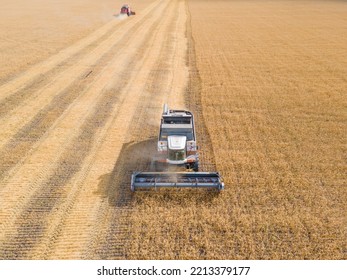 Harvest Wheat Grain And Crop Aerial View.Harvesting Wheat,oats, Barley In Fields,ranches And Farmlands.Combines Mow In The Field.Agro-industry.Combine Harvester Cutting On Wheat Filed.Machine Harvest