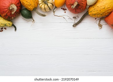 Harvest Of Winter Squash And Decorative Pumpkins On Wooden White Background With Border