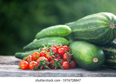 Harvest of zucchini, cucumbers and tomatoes, still life on natural garden background, space for text