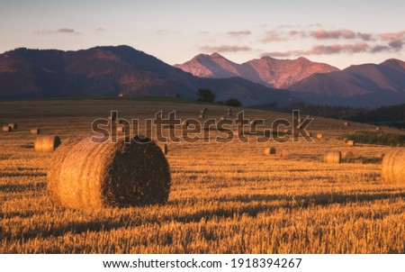 Harvested Field with Hay Bales in Golden Evening Light Under West Tatras Mountains, Slovakia