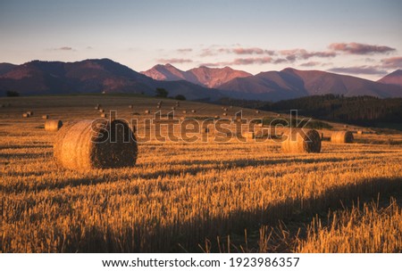 Harvested Field with Hay Bales in Golden Evening Light Under West Tatras Mountains, Slovakia