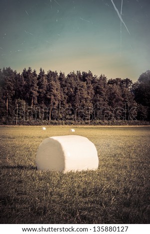 Similar – Foto Bild Marshmallow Feld IV