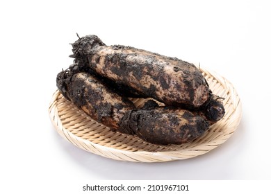 Harvested Lotus Root Will Last Longer If Stored With Mud.