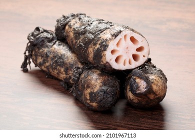 Harvested Lotus Root Will Last Longer If Stored With Mud.