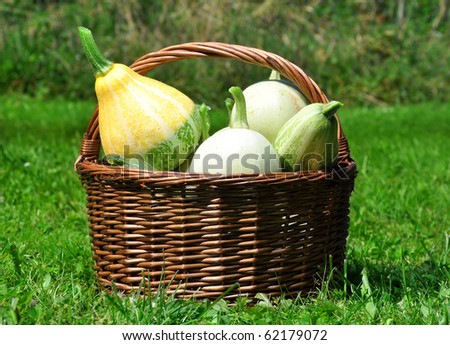 Similar – Image, Stock Photo orchard meadow, apple harvest