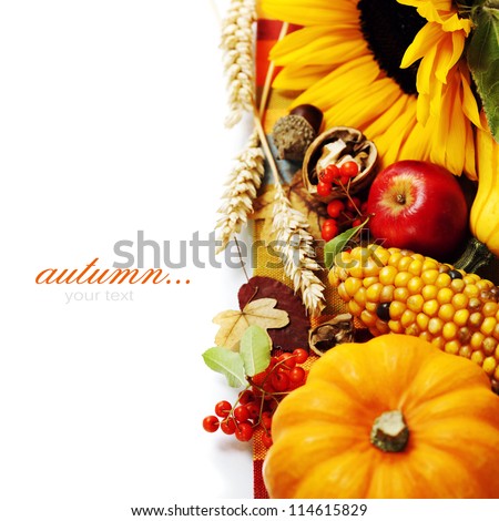 Harvested pumpkins with fall leaves, flowers and fruits over white
