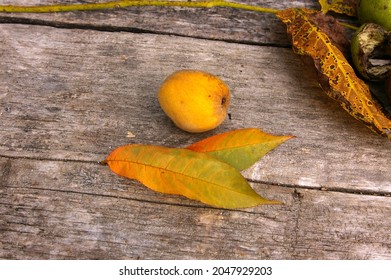 Harvested wild peach fruit and yellow autumn leaves from the peach tree. Wooden background