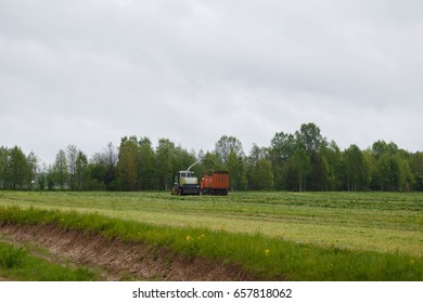 Harvester Collects Dry Grass To The Truck In A Field Full Of Green Grass. Truck Collects Grass Clippings, Which Cuts The Tractor Driving By On The Green Field In The Summer. Agricultural View