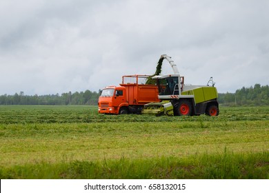 Harvester Collects Dry Grass To The Truck In A Field Full Of Green Grass. Truck Collects Grass Clippings, Which Cuts The Tractor Driving By On The Green Field In The Summer. Agricultural View