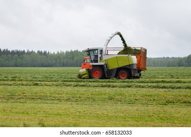 Harvester Collects Dry Grass To The Truck In A Field Full Of Green Grass. Truck Collects Grass Clippings, Which Cuts The Tractor Driving By On The Green Field In The Summer. Agricultural View