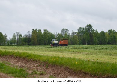 Harvester Collects Dry Grass To The Truck In A Field Full Of Green Grass. Truck Collects Grass Clippings, Which Cuts The Tractor Driving By On The Green Field In The Summer. Agricultural View