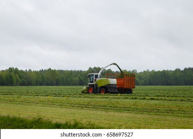 Harvester Collects Dry Grass To The Truck In A Field Full Of Green Grass. Truck Collects Grass Clippings, Which Cuts The Tractor Driving By On The Green Field In The Summer. Agricultural View