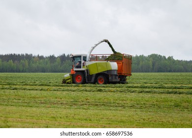 Harvester Collects Dry Grass To The Truck In A Field Full Of Green Grass. Truck Collects Grass Clippings, Which Cuts The Tractor Driving By On The Green Field In The Summer. Agricultural View