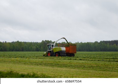 Harvester Collects Dry Grass To The Truck In A Field Full Of Green Grass. Truck Collects Grass Clippings, Which Cuts The Tractor Driving By On The Green Field In The Summer. Agricultural View